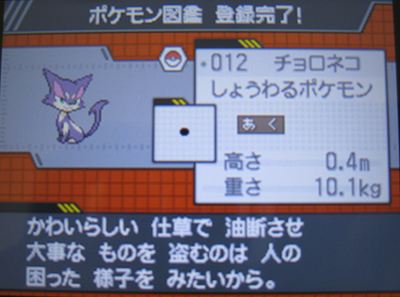 19番道路 サンギ牧場 ポケモンbw2ドキドキ冒険日記